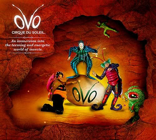 Review of OVO by Cirque du Soleil